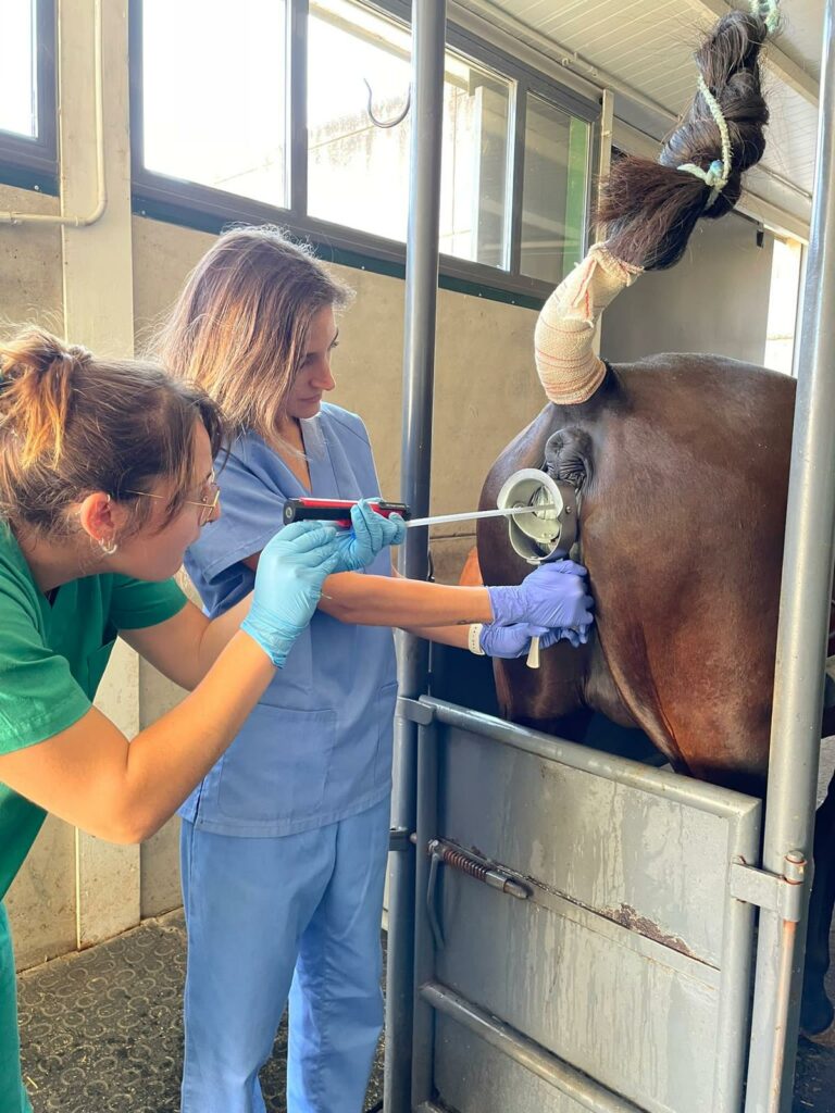 20241120_125600697_iOS