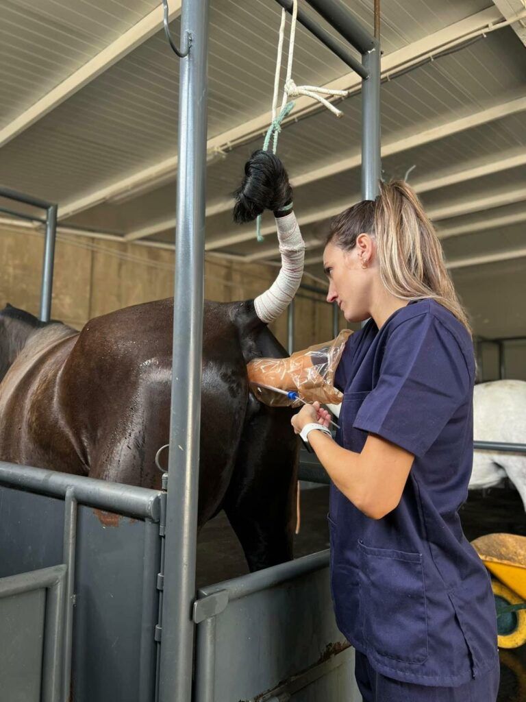 20241120_134518992_iOS