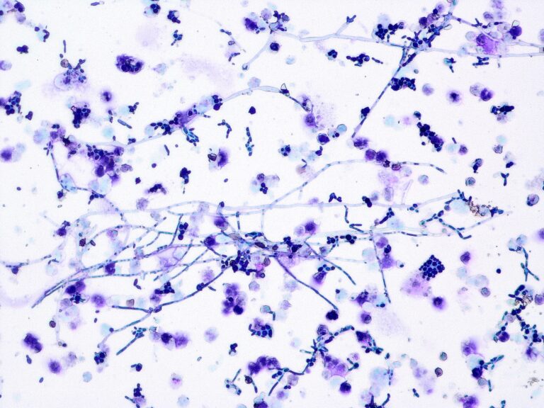 20251017_181056000_iOS 1